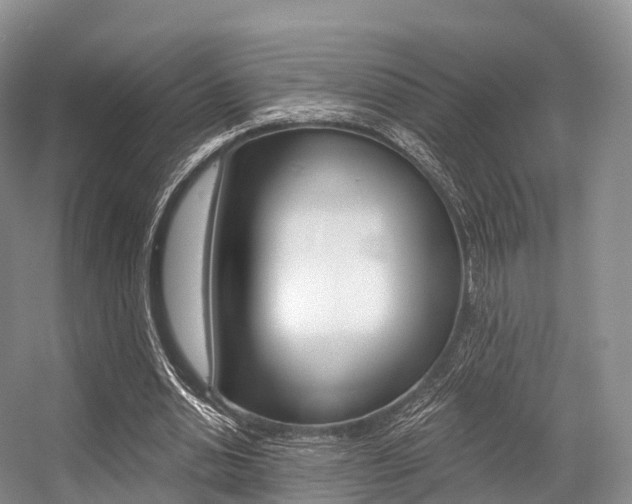 X0000056320438200508260855