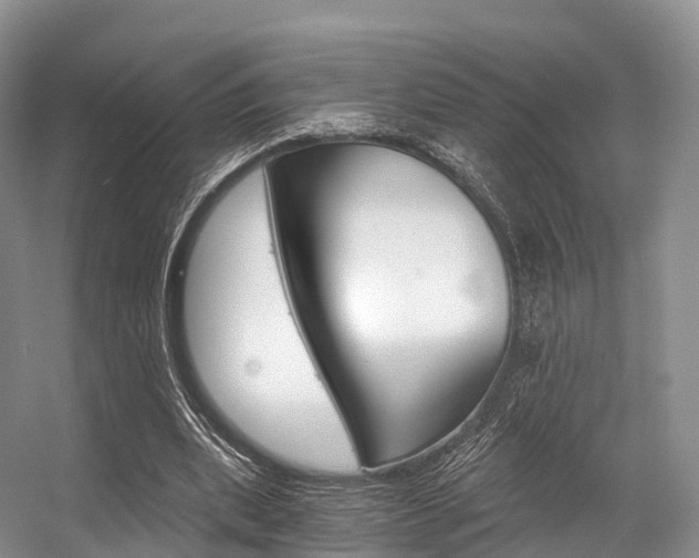 X0000056320439200508260855