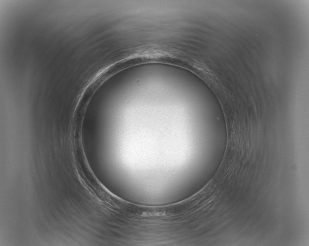 X0000056320440200508260855