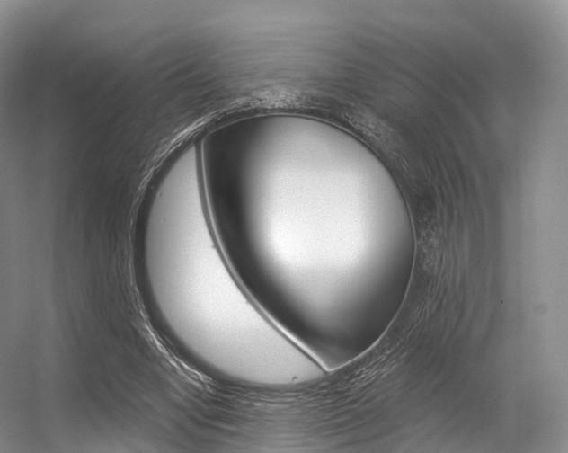 X0000056320442200508260855