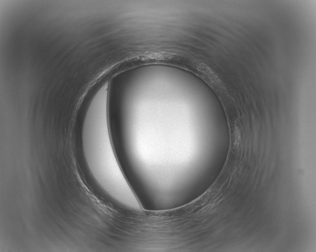 X0000056320444200508260855