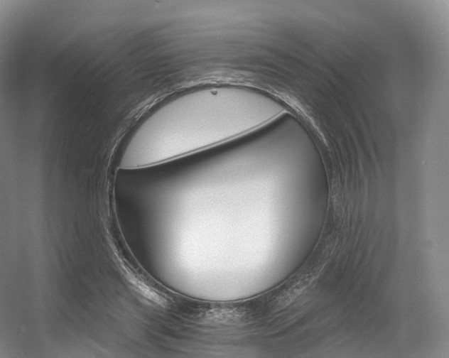 X0000056320445200508260855