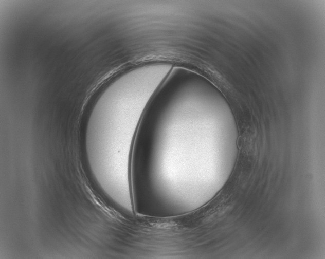 X0000056320446200508260855