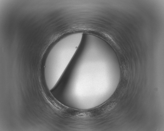 X0000056320447200508260855