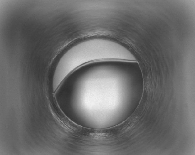 X0000056320448200508260855