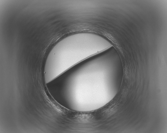 X0000056320449200508260855