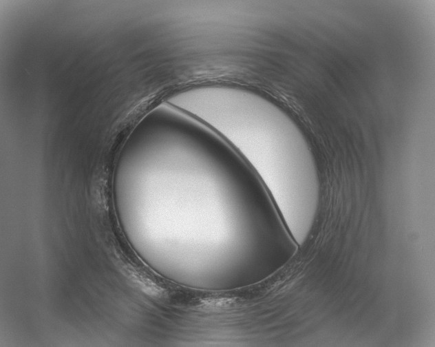 X0000056320450200508260855