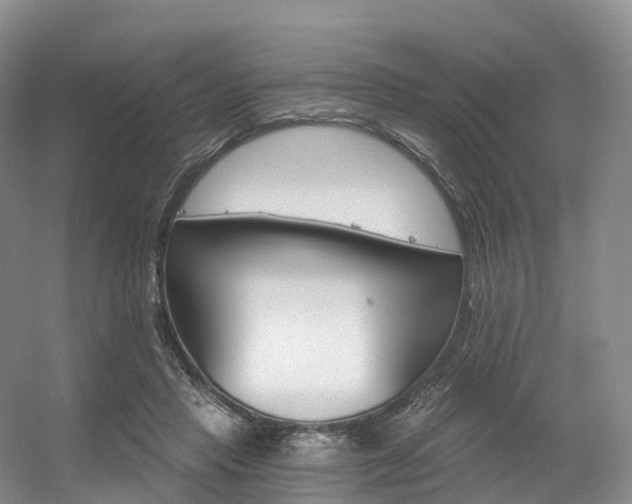 X0000056320453200508260855