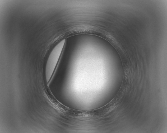 X0000056320454200508260855