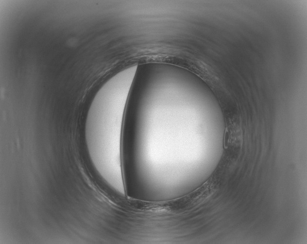 X0000056320456200508260855