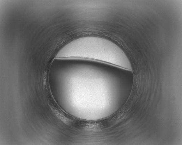 X0000056320458200508260855
