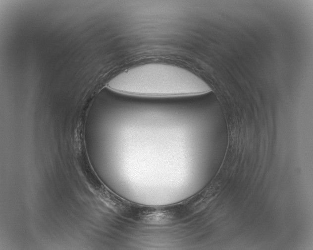 X0000056320460200508260855
