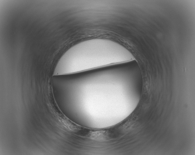 X0000056320461200508260855