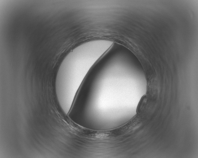 X0000056320462200508260855