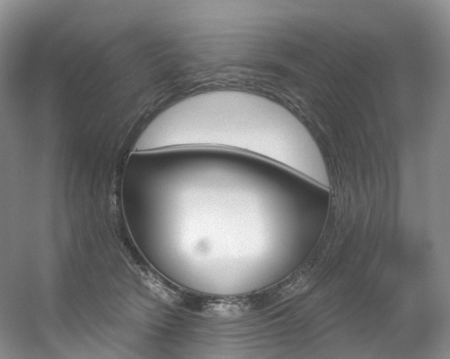 X0000056320466200508260855