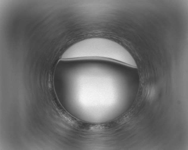 X0000056320470200508260855