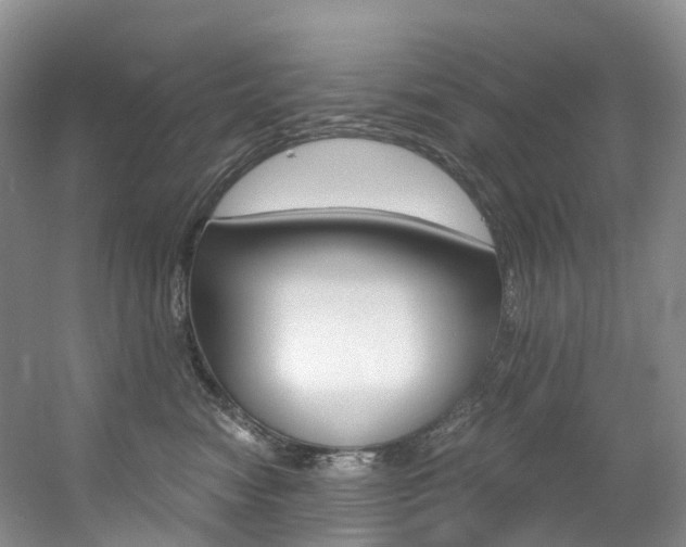 X0000056320474200508260856