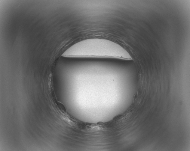 X0000056320475200508260856