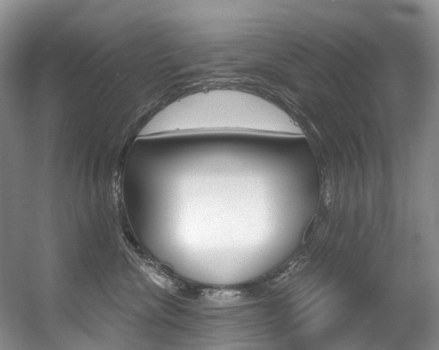 X0000056320476200508260856