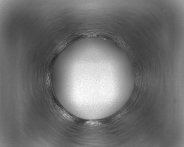 X0000056320477200508260856