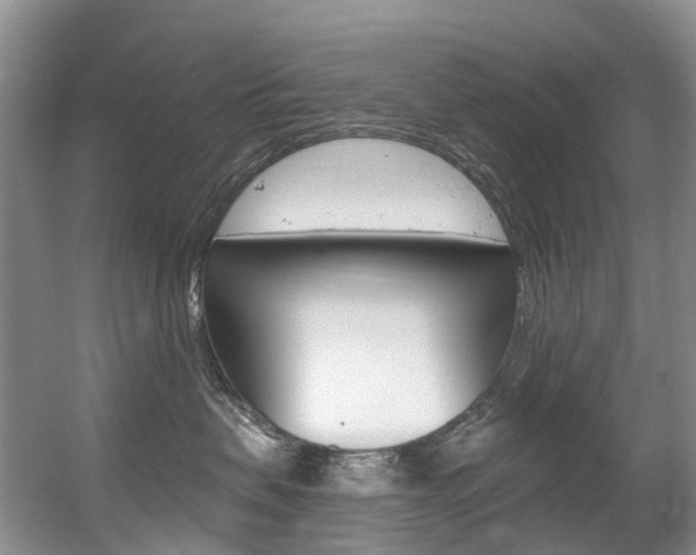 X0000056320479200508260856