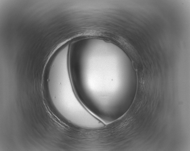 X0000056320484200508260855