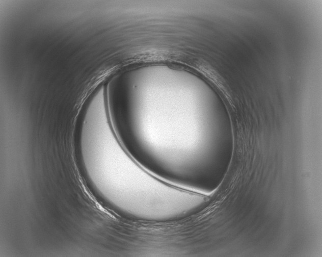 X0000056320485200508260855