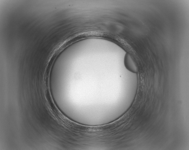 X0000056320487200508260855