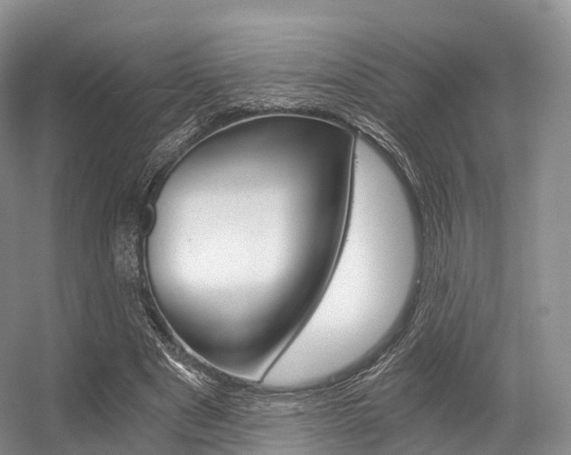 X0000056320489200508260855