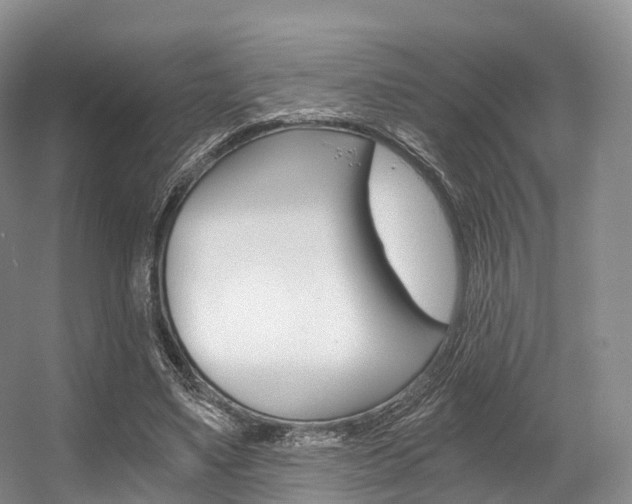 X0000056320491200508260855