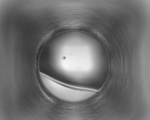X0000056320493200508260855