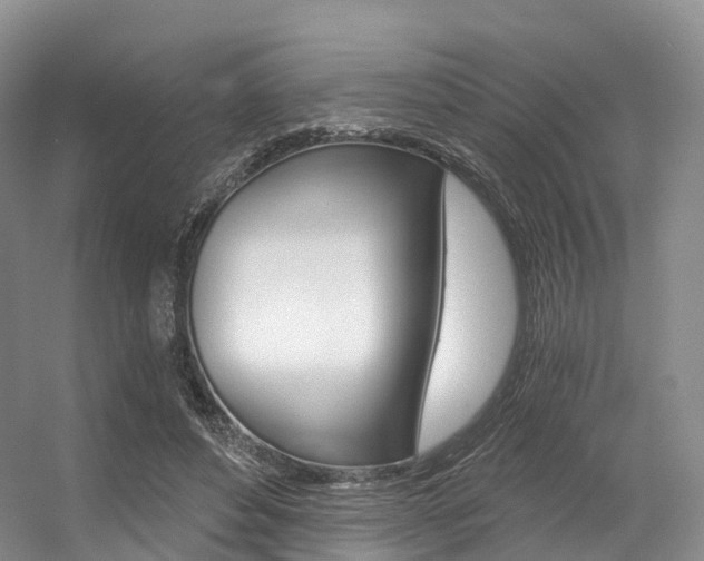 X0000056320496200508260855