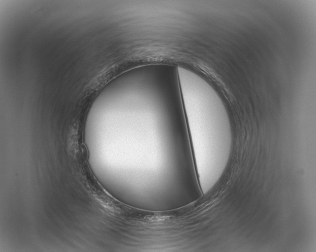 X0000056320497200508260855