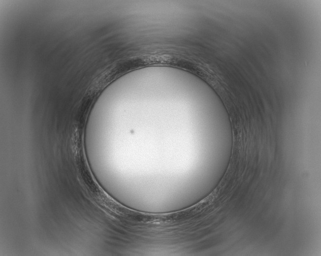 X0000056320498200508260855