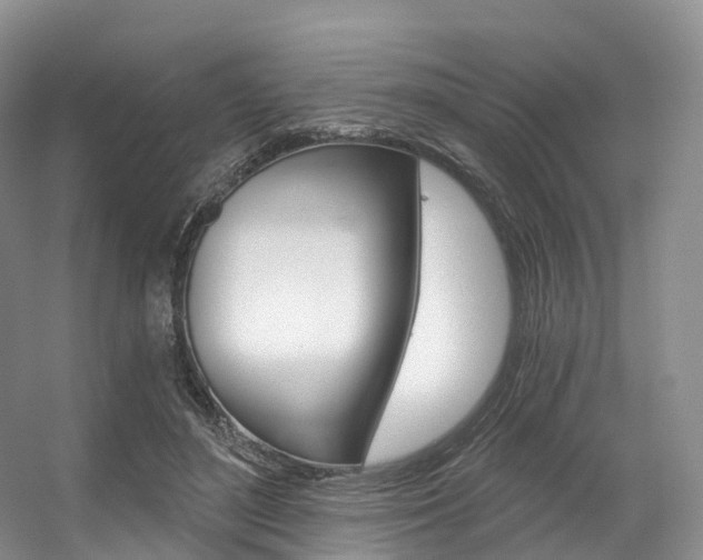 X0000056320500200508260854