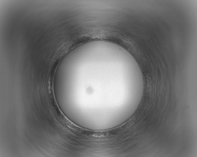 X0000056320502200508260854