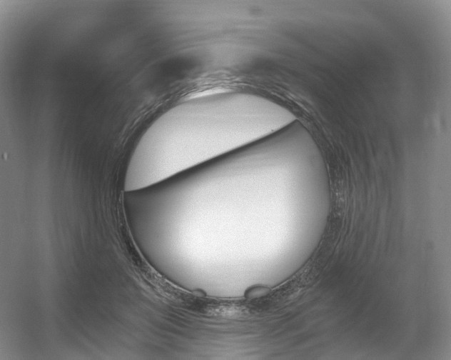 X0000056320503200508260854