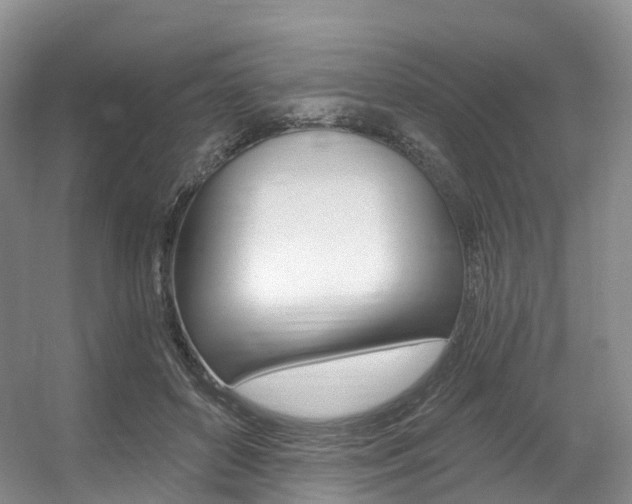 X0000056320504200508260854