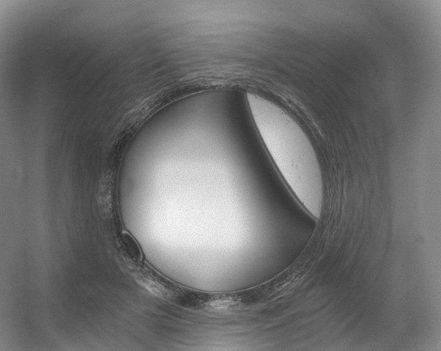 X0000056320505200508260854