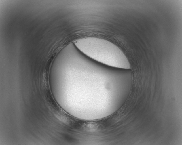 X0000056320506200508260854