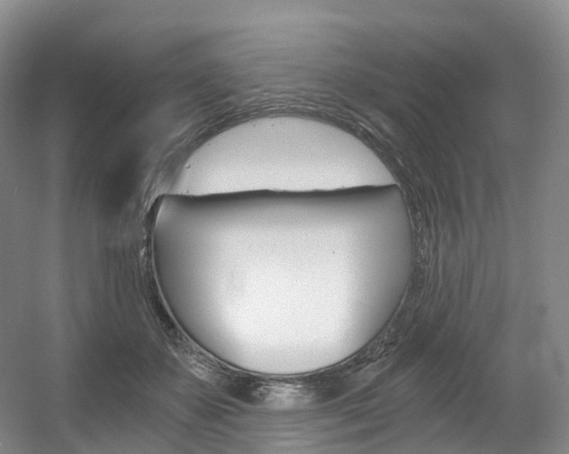 X0000056320507200508260854