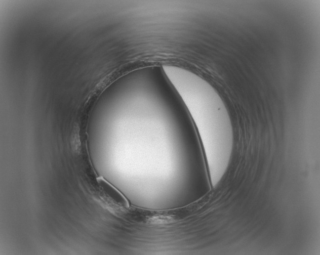 X0000056320508200508260854