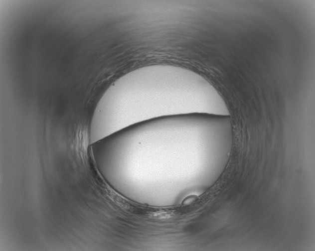 X0000056320511200508260854