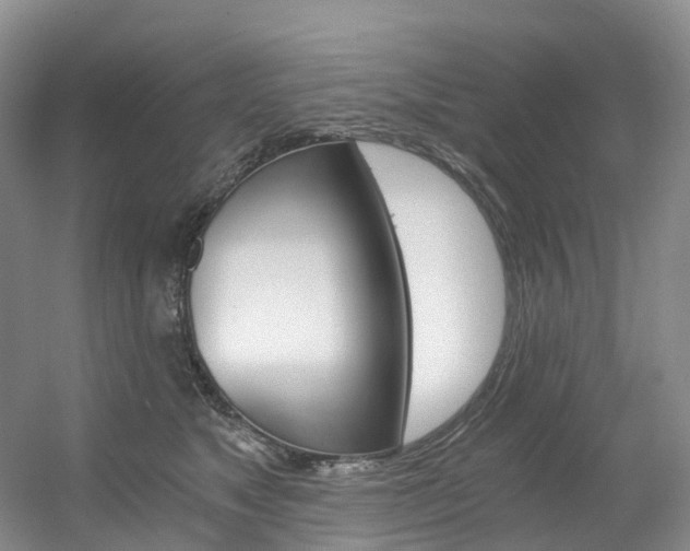 X0000056320517200508260854