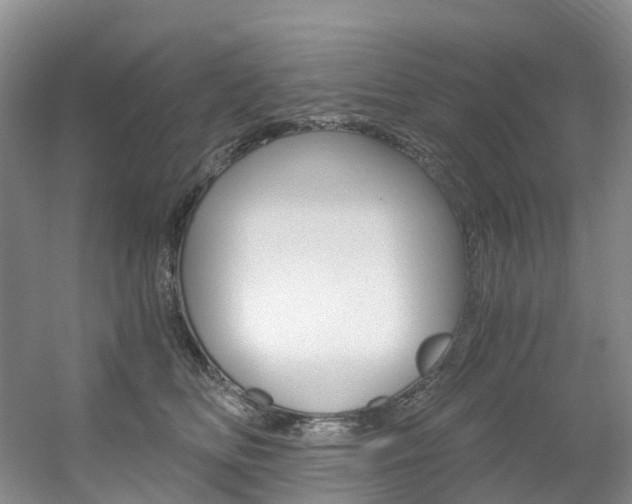 X0000056320518200508260854