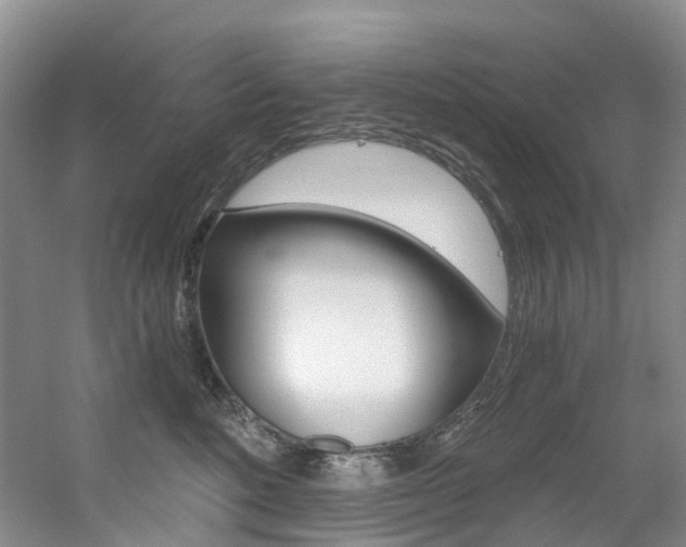 X0000056320520200508260854