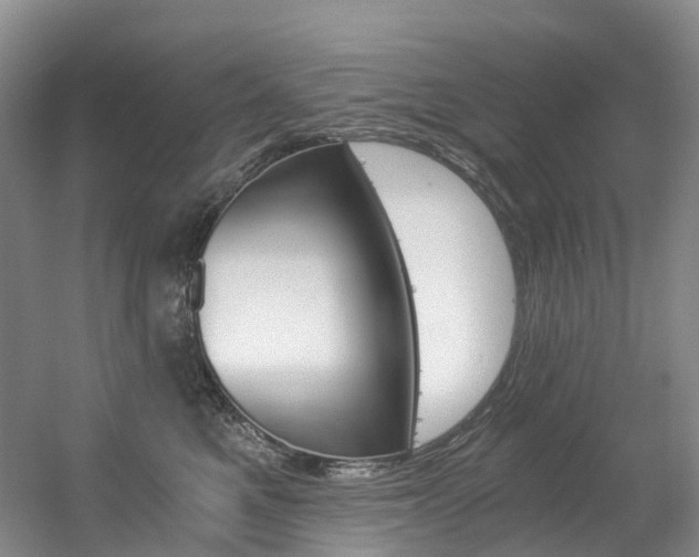 X0000056320521200508260854