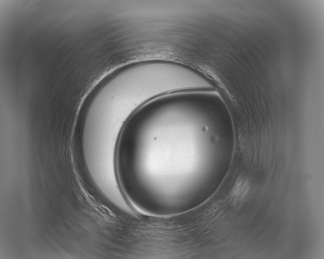 X0000056320532200508260853