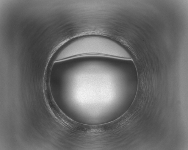 X0000056320536200508260853