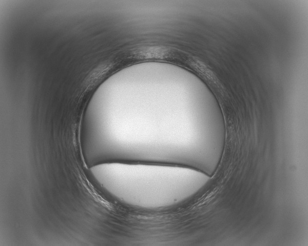 X0000056320537200508260853